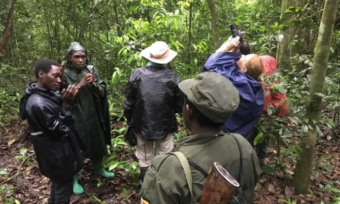 Tourists during birdwatching in Kibale