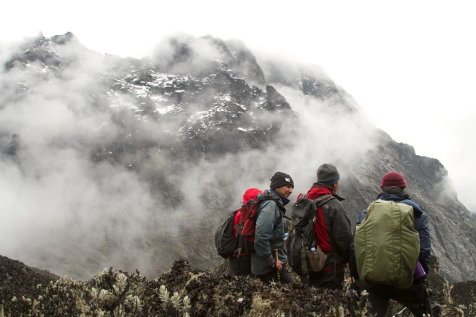 Snow view of Mt. Rwenzori's peak